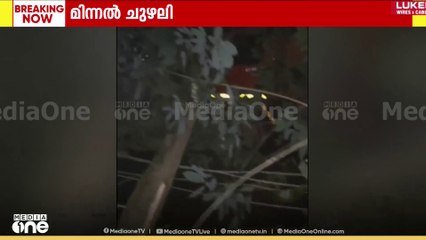മലപ്പുറം പോത്തുകല്ലിൽ മിന്നൽ ചുഴലി; നിരവധി മരങ്ങൾ കടപുഴകി വീണു
