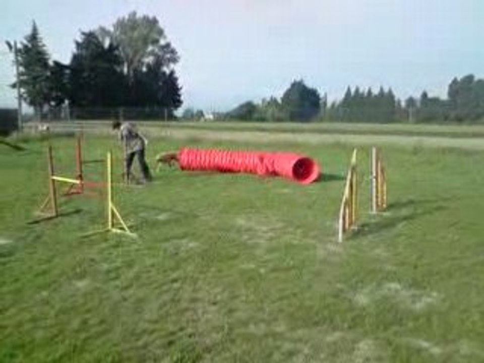 Pepsy1