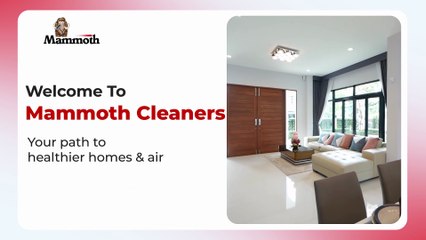 The Ultimate Guide to Choosing the Right Carpet Cleaner for Your Home