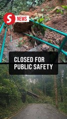Penang Hill, Air Itam dam trails temporarily closed for public safety