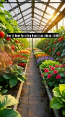 Top 5 New Farming Business Ideas 2025 | Smart Farming Ka Future | Ansari Farming World #facts  #anas