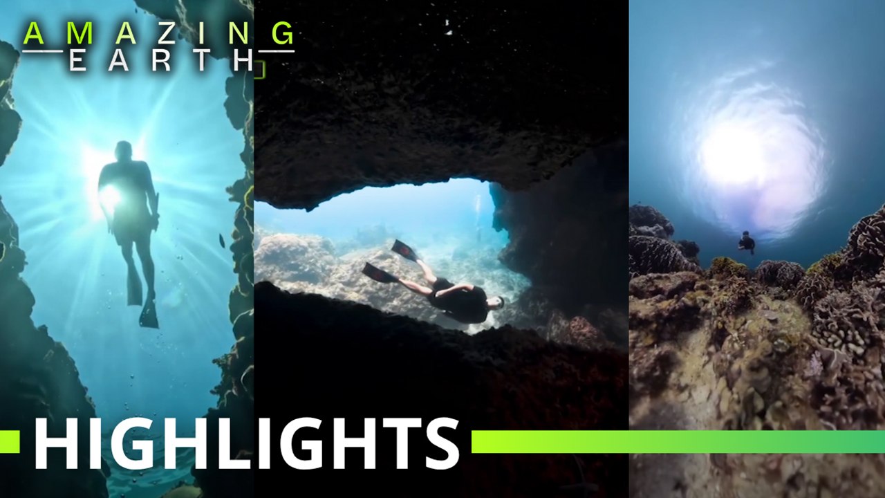 Amazing Earth: Coach Pilyo captures Batangas’ hidden underwater world!