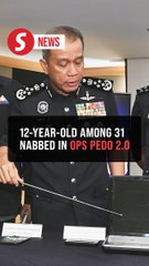 Police Crack Down on Child Pornography: 31 Arrested Including Two Minors aged 12 and 17 🚓