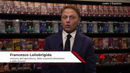 Dazi, Lollobrigida: "No alle tariffe tra democrazie, sì a regole per evitare concorrenza sleale"