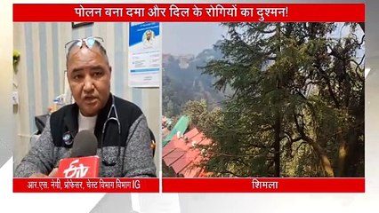 पेड़ों से गिर रहा पोलन बना अस्थमा और दिल के रोगियों का दुश्मन, ऐसे करें बचाव वरना बढ़ सकती है परेशानी
