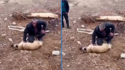 Fenalaşan köpeği kalp masajı yaparak kurtardı; O anlar kamerada