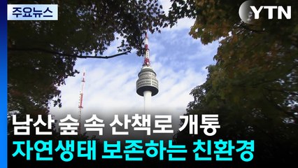 [서울] 남산 하늘숲길 개통...무장애길·생태보존 '매력 +1' / YTN