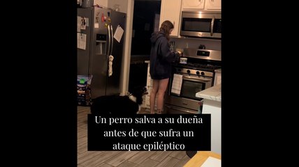Un perro salva a su dueña antes de que sufra un ataque epiléptico