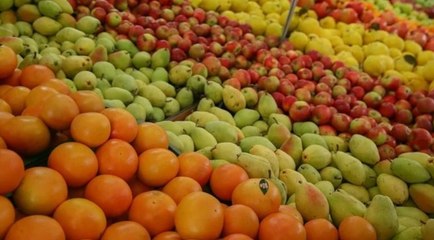 Gürer: 10 milyon ton yalnızca meyvede ürün kaybı görüldü