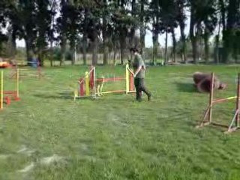 Pepsy2