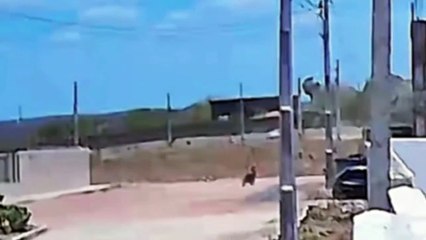 VIDEO: ¡Torbellino mortal! Motociclista muere degollado por una lámina metálica en Brasil