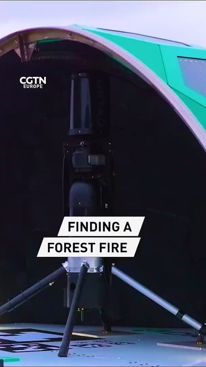 Finding a forest fire