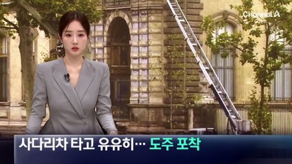 사다리차 타고 유유히…루브르 도둑들 도주 포착