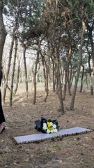 Emily unexpectedly inherits a huge fortune and is determined to uncover the truth