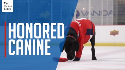 Future service dog 'Ovi' meets NHL legend namesake