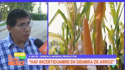 HAY INCERTIDUMBRE EN LA SIEMBRA DE ARROZ