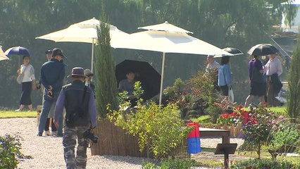 [대구] 대구 금호강 하중도에서 '정원박람회' 열려 / YTN