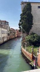 Venitian chill with Mojo