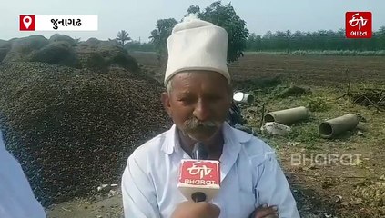 'કૃષિ પાકોનું વાવેતર ગામની જરૂરિયાત અને પરિવાર પૂરતું જ કરીશું', આ ગામના ખેડૂતોએ કેમ લીધો આવો નિર્ણય ?