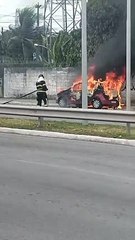 Carro é totalmente destruído após pegar fogo perto da passarela da Ufal