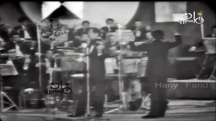 صولو كمان احمد الحفناوي.. رسالة من تحت الماء