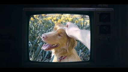 Bom Menino | Trailer 2