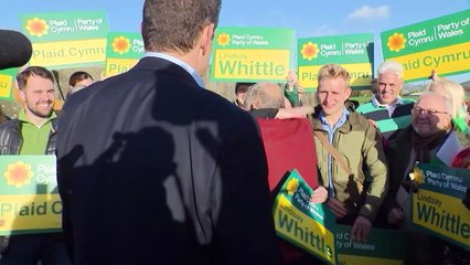Plaid Cymru celebrate by-election victory
