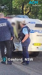 Hundreds of guns seized in NSW in National Illicit Firearms Week crackdown