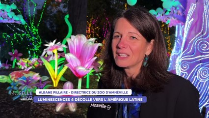 Moselle Info Week-end du samedi 24 octobre 2025
