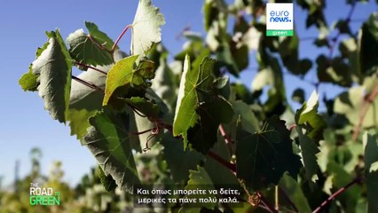 Πώς οι αγρότες μπορούν να βοηθήσουν στην αποκατάσταση του προβληματικού κύκλου του νερού στην Ευρώπη