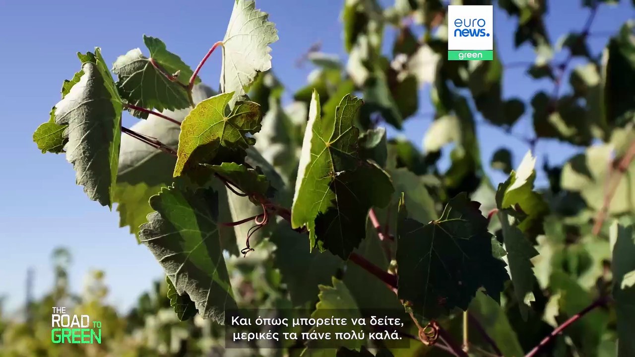 Πώς οι αγρότες μπορούν να βοηθήσουν στην αποκατάσταση του προβληματικού κύκλου του νερού στην Ευρώπη