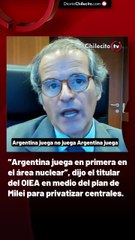 “Argentina juega en primera en el área nuclear”, dijo el titular del OIEA en medio del plan de Milei para privatizar centrales.