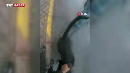 Ağızlıksız gezdirilen köpeğin saldırısına uğramıştı, korkusunu hala atlatamadı