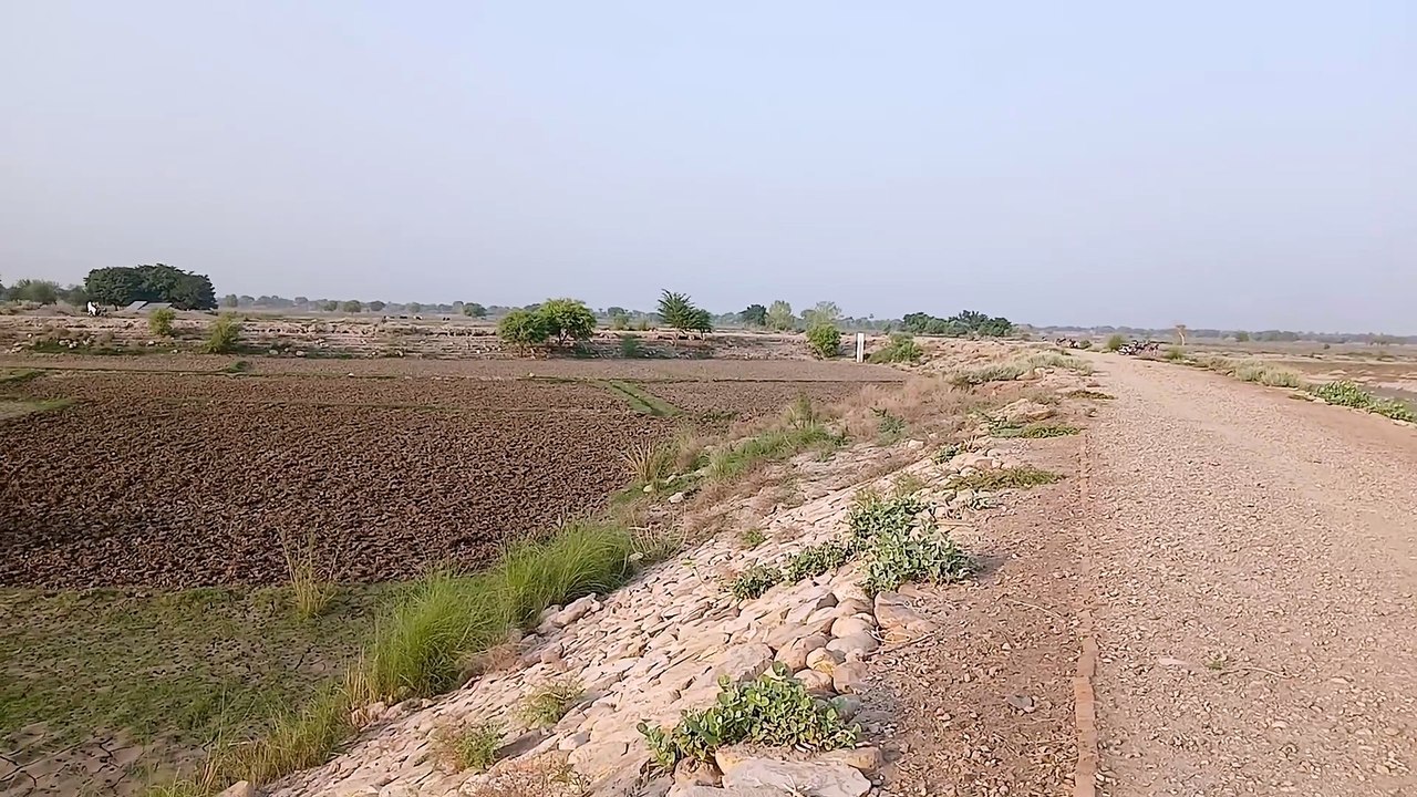 Natural scene on the bank of river