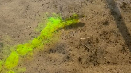 Neon trails follow a fish and make the ocean look like a sci-fi scene