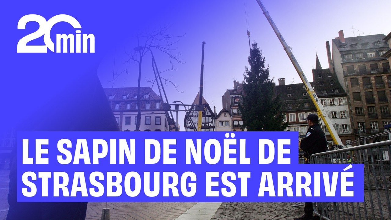 Le grand SAPIN de Noël de Strasbourg est arrivé