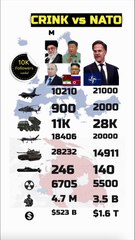 CRINK vs NATO Military Power Comparison 2025 | #shorts #ytshorts #military