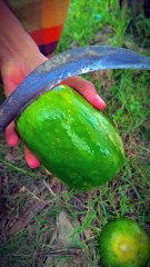 Amazing Papaya Fruit Slice _ Fruit Cutting Skills