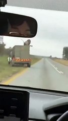 Impresionante momento en el que un león se escapa y salta de un vehículo en movimiento