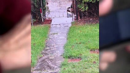 Sewage overflows “ruin” garages and gardens in Hoo