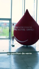 Une journée Sang-froid au Louvre-Lens