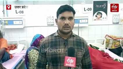 बहराइच में महिला पर बाघ का हमला; सिर और गर्दन पर गहरे घाव, खेत में चहलकदमी करते दिखा