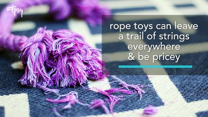 Don’t Forget Your Dog This Holiday Season With These Homemade Dog Toys