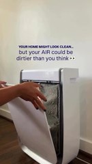 Keep Your Home Safe From Mold and Airborne Pollutants