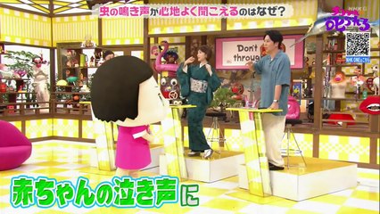 チコちゃんに叱られる 2025年日10月24日 虫の鳴き声の謎▽クリームシチューの謎▽庭の謎