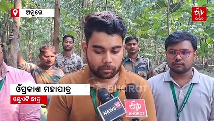 ନଭେମ୍ବର ୧ରୁ ବାଘ ଗଣନା: ଅତ୍ୟାଧୁନିକ ପ୍ରକ୍ରିୟାରେ ଗଣନା ପାଇଁ ତାଲିମ୍ ନେଉଛନ୍ତି କର୍ମଚାରୀ