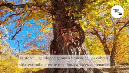 La mejor ruta de senderismo para hacer con niños: corta, fácil y con duendes escondidos entre los castaños