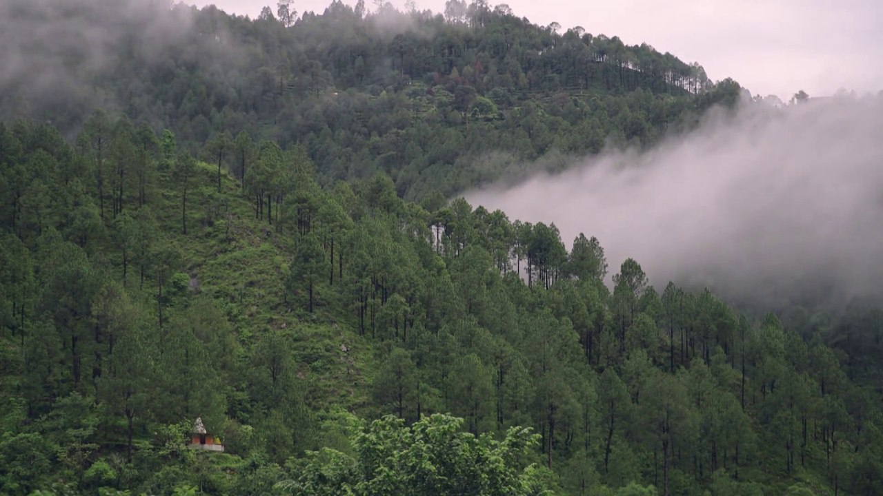 Nasce Registro dei crediti di carbonio, più valore ai boschi italiani