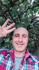 Hidden 3 Unwritten Rules of Reddit