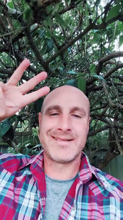 Hidden 3 Unwritten Rules of Reddit